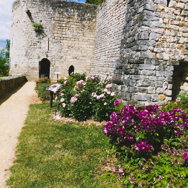 Visite guidée : Le Château médiéval... Le 10 juil 2024