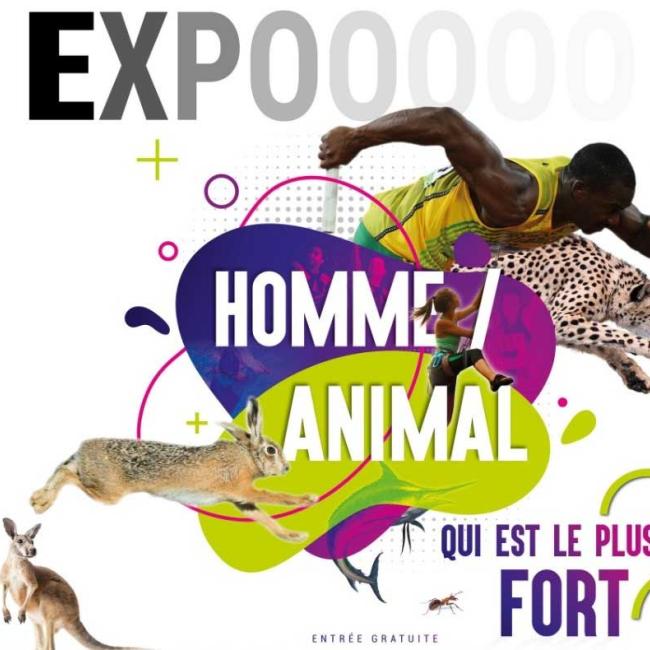 EXPOSITION " HOMME/ANIMAL, QUI EST LE PLUS FORT ? " Du 3 mai au 15 juin 2024